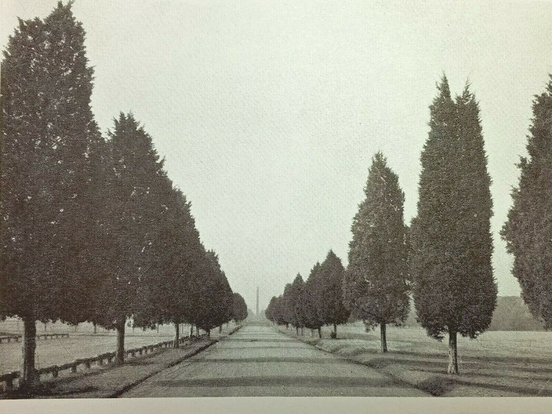 Vintage Postcard The Approach Showing Relocated Government Monument Wakefield NM