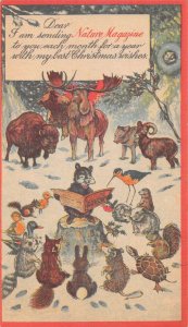 Christmas Greetings Nature Magazine Animals Vintage Non PC Back AA56508