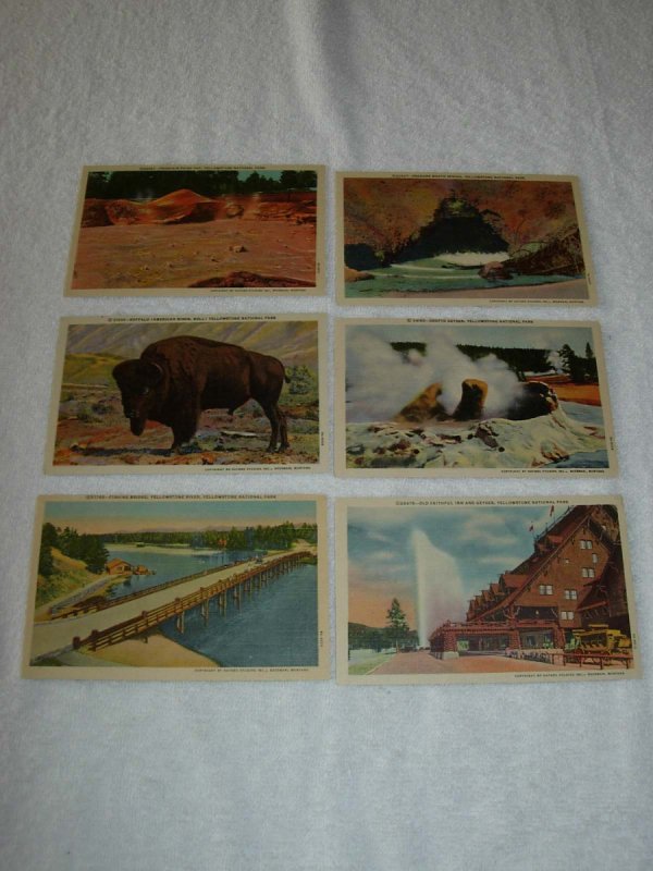 Yellowstone National Park WY - Lot Of 6 all Pre Chrome Postcards - x0522