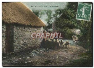 Old Postcard Folklore The return of the Sheep herd