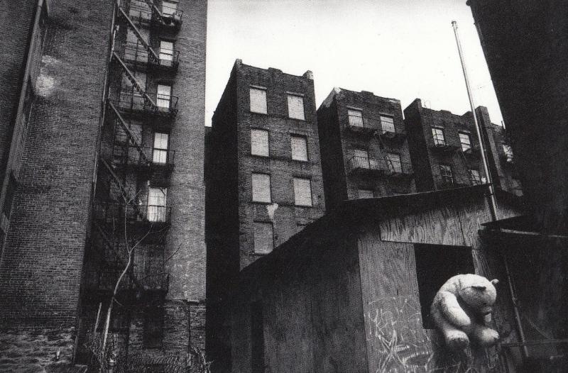 Giant Teddy Bear in Harlem New York Photo Postcard