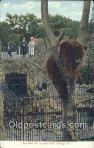 Lincoln Park Zoo, Chicago, Ill, USA Bear Unused light wear