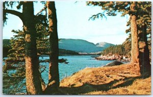 Postcard - November at Otter Cove, from Otter Point, Bar Harbor, Maine, USA