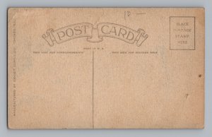 Wallace Beery Lost World Actor Arcade Card Postcard