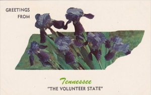 Greetings From Tennessee The Volunteer State