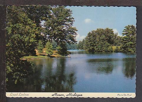 Lake View Mason MI Postcard BIN 