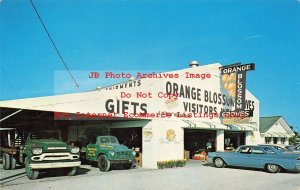FL, Largo, Florida, Orange Blossom Groves, 50s Truck, Beckett Pub No 70540