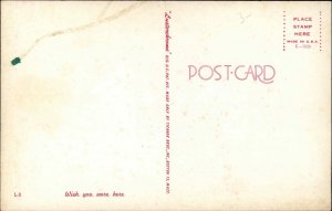 Bathing Beauty Pin Up Bikini c1950s-60s Postcard