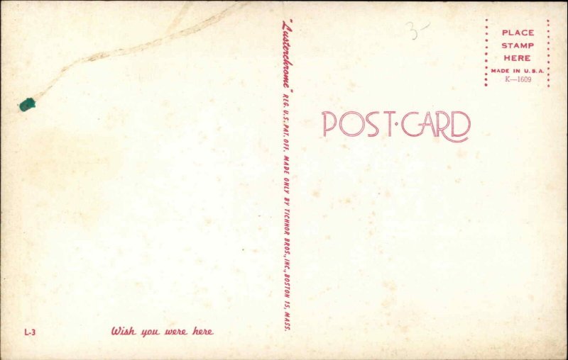 Bathing Beauty Pin Up Bikini c1950s-60s Postcard