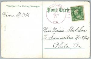 MULTIPLE BABIES in WINE CELLAR ANTIQUE POSTCARD 