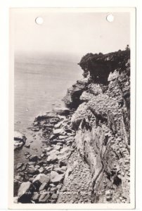 Birds On Cliffs Of Bonaventure Island, Quebec, Vintage Real Photo Postcard RPPC
