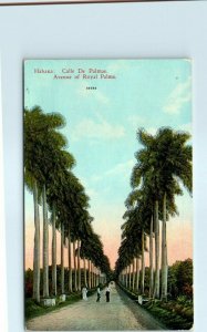 M-25414 Avenue of Royal Palms Havana Cuba