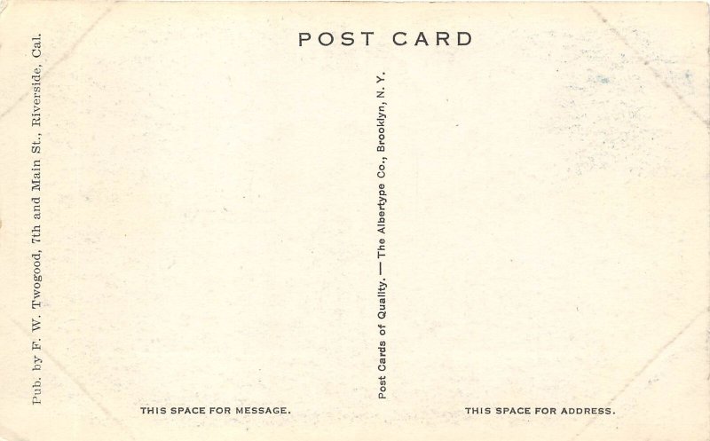 Riverside California c1910 Postcard Picturesque Riverside 