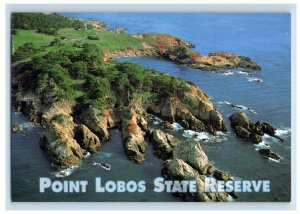 Vintage Point Lobos State Reserve, California. Postcard 7XE