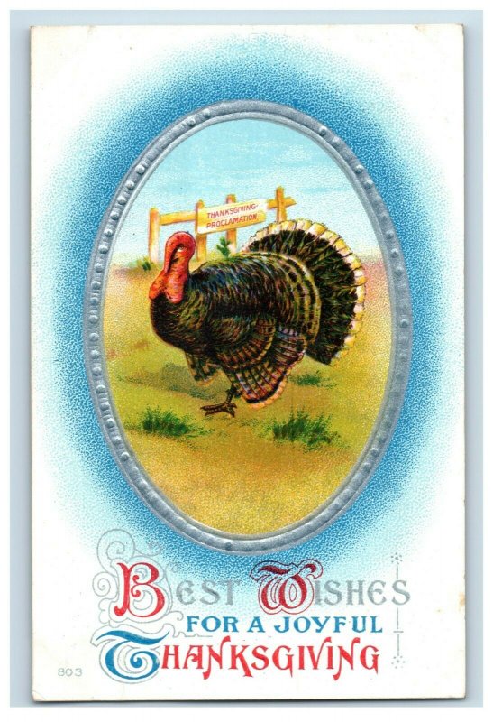 c.1910 Turkey Embossed Thanksgiving #2 Vintage Postcard P51