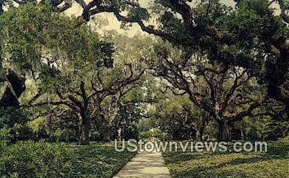 Live Oak Walk, Brookgreen Gardens - Murrells Inlet, South Carolina