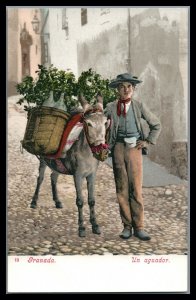 Spain Granada Vintage  postcard Un Aguador Water carrier with donkey