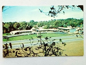 Vintage Postcard 1970's Black Horse Motel West Springfield MA US Route 5