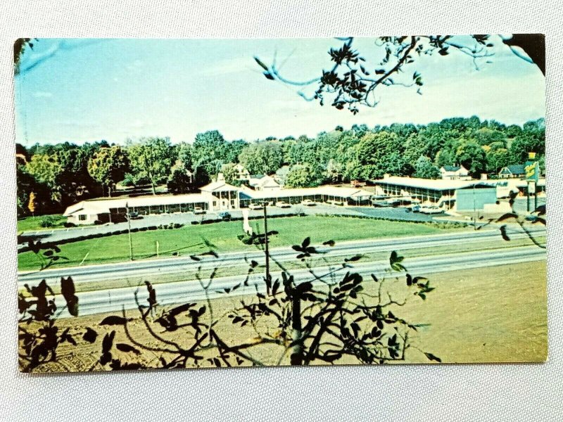 Vintage Postcard 1970's Black Horse Motel West Springfield MA US Route 5 