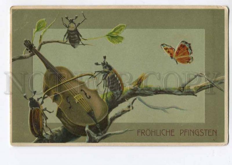 264737 MAY BEETLES Phyllophaga BUTTERFLY Violin Vintage PC