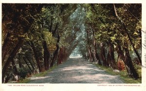 Vintage Postcard 1906 Willow Road Pathway Street Gloucester Massachusetts MA