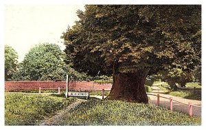 England Romford, The Stocks Haverine