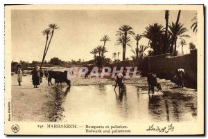 Postcard Old Marrakech Ramparts and palms