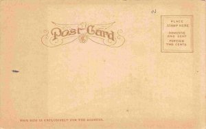 Marshall Field Department Store Chicago Illinois 1905c E C Kropp postcard