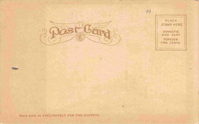 Marshall Field Department Store Chicago Illinois 1905c E C Kropp postcard