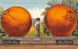 Exaggerated Oranges SP Railroad Car Exaggeration 1910c postcard