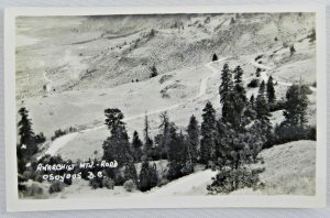 Anarchist Mountain Trail/Road - British Columbia, Canada - RPPC Vintage Postcard