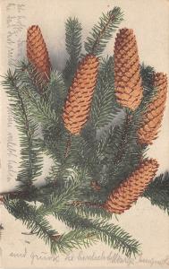 BG3789 fir branch  neujahr  new year   germany  greetings