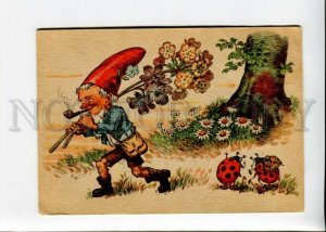 3141908 GNOME w/ Flowers Insects Ladybirds Vintage color PC