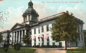 Vintage Postcard 1908 View of The State Capitol of Florida Tallahassee FL