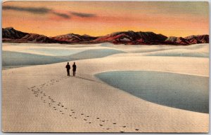 The Great White Sands National Monument Alamogordo New Mexico NM Postcard