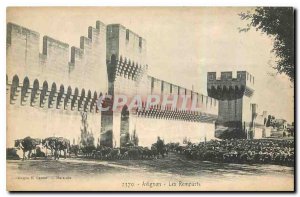 Old Postcard Avignon Ramparts Donkey Mule Sheep