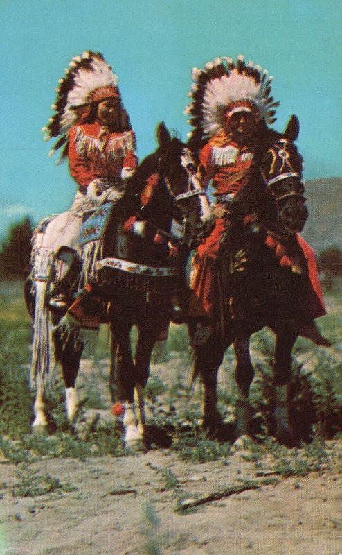 Vintage Postcard Portrait of First Americans In Full Dress Traditional Costumes