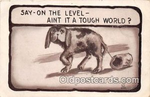 HIR 1910 Dog, Canine Postcard