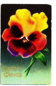 Large Pansy, Best Wishes Greeting Postcard, Used 1911 Split Ring Cancel