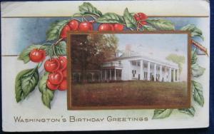 Washingtons Birthday Greetings Postcard Embossed 1917