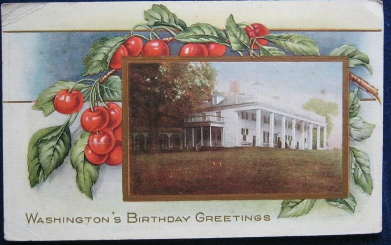 Washingtons Birthday Greetings Postcard Embossed 1917