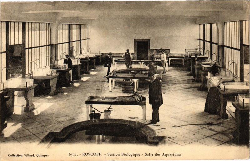 CPA ROSCOFF-Station Biologique-Salle des Aquariums (188792)