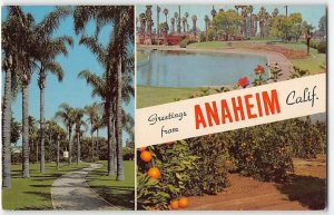 Orange County ANAHEIM, CA Banner Greetings California 1960s Vintage Postcard