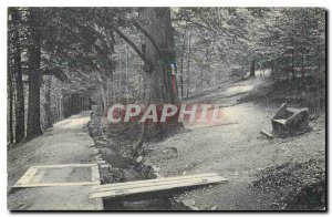 Modern Postcard Bad Harzburg Am Philosophenweg