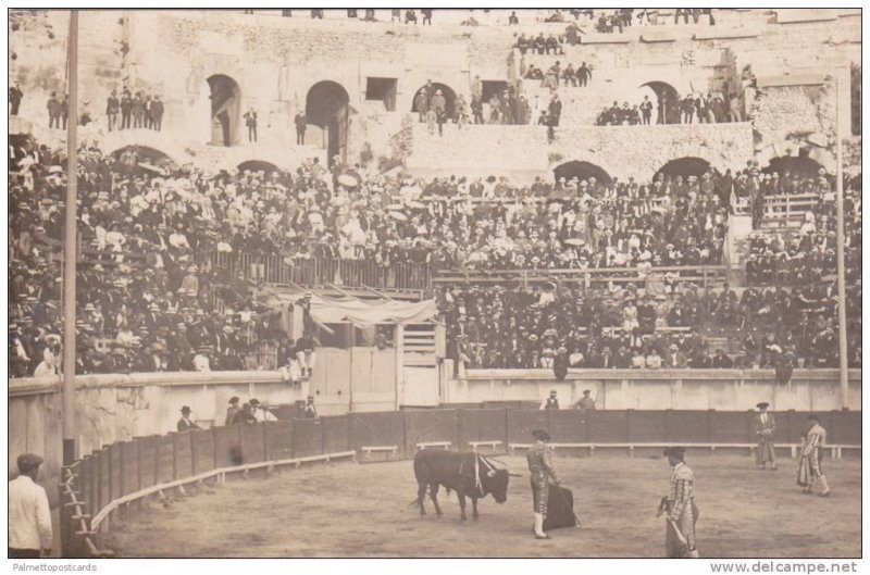 RP: Corrida de Toros, Toreadors in Bullfighting Area with Bull