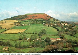 VINTAGE CONTINENTAL SIZE POSTCARD NORTH YORKSHIRE MOORS HAWNBY NR. HELMSLEY