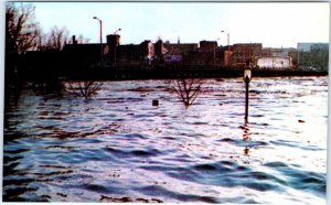 x5 1987 Lewiston-Auburn, ME Great Flood Androscoggin River Photo PC Prints A146