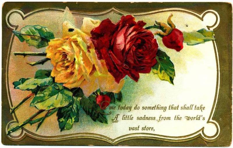 Yellow and Red Roses - 1911