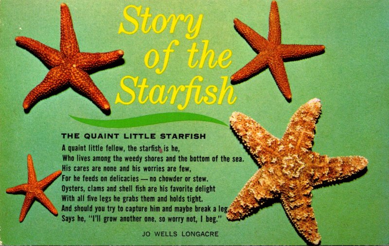 Story Of The Starfish