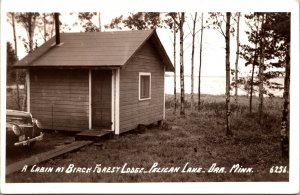 Real Photo Postcard Cabin Birch Forest Lodge Pelican Lake in Orr, Minnesota